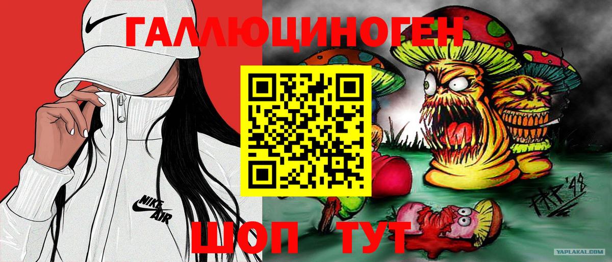 Галлюциногенные грибы MAGIC MUSHROOMS  Вход с VPN  где найти   Норильск 